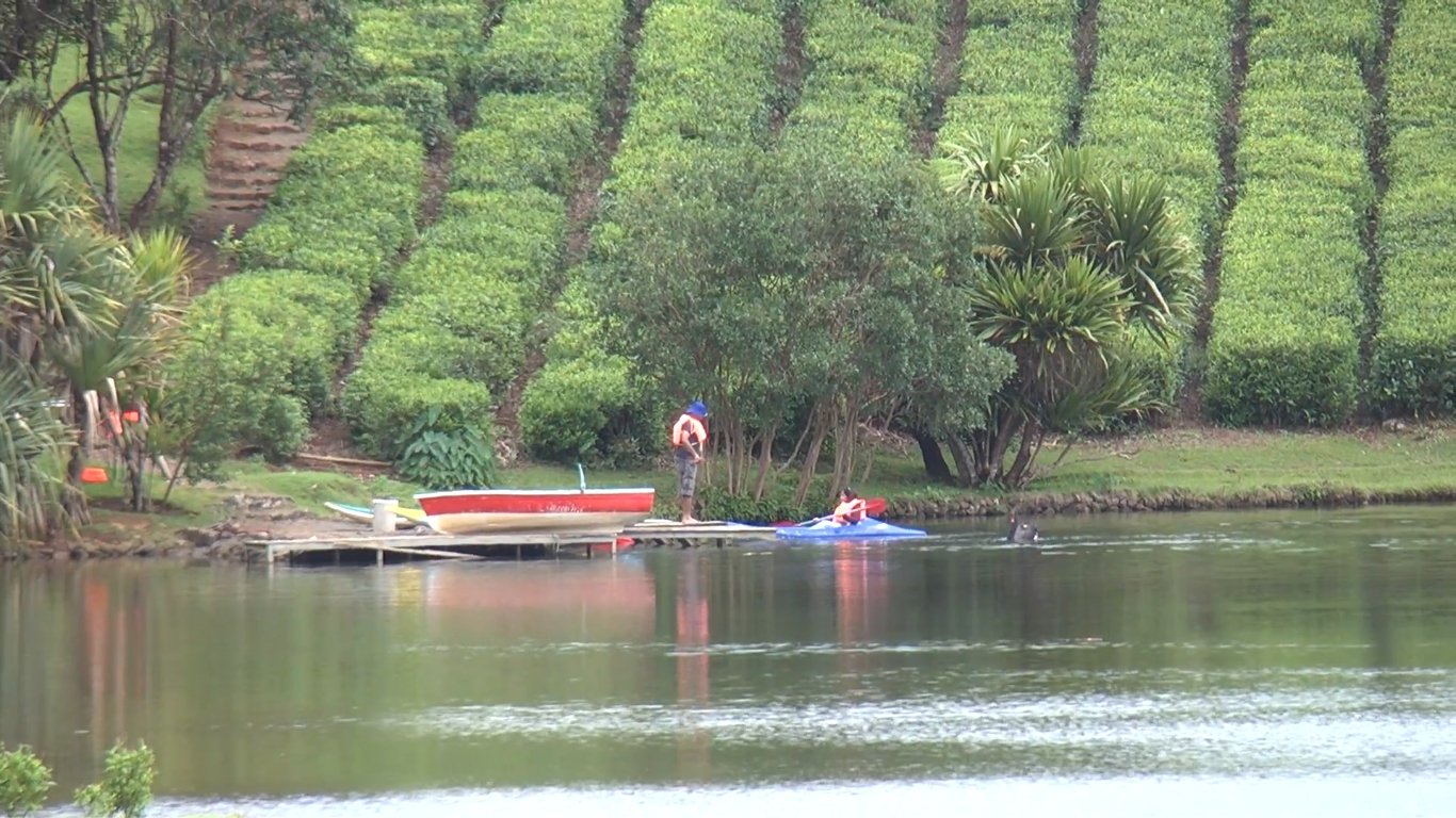 Mauritius tea route tour with Seewan Tours