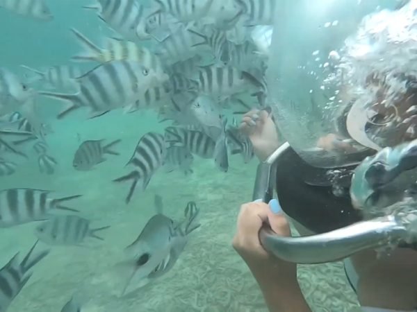 belle-mare-undersea-walk-mauritius-day-trip-8