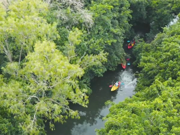 tamarin-kayaking-activity-day-trip-mauritius-18